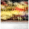 Courant des fleurs - Photographie par Ho
