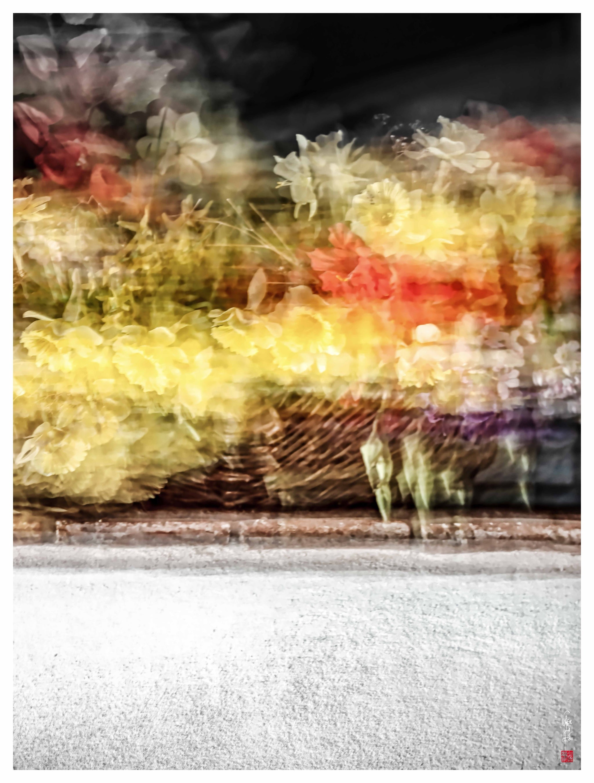 Courant des fleurs - Photographie par Ho