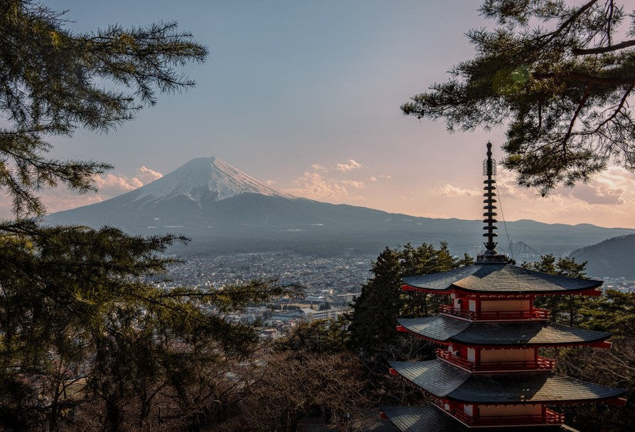 Japanese view