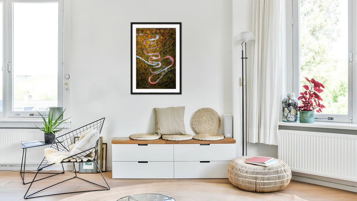 Snake Road – Tirage encadré, photographie d'Edouard Salmon