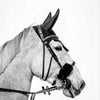 En piste - Photographie par Taniere