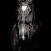 Entre force et lumière - Photographie par Taniere