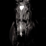 Entre force et lumière - Photographie par Taniere