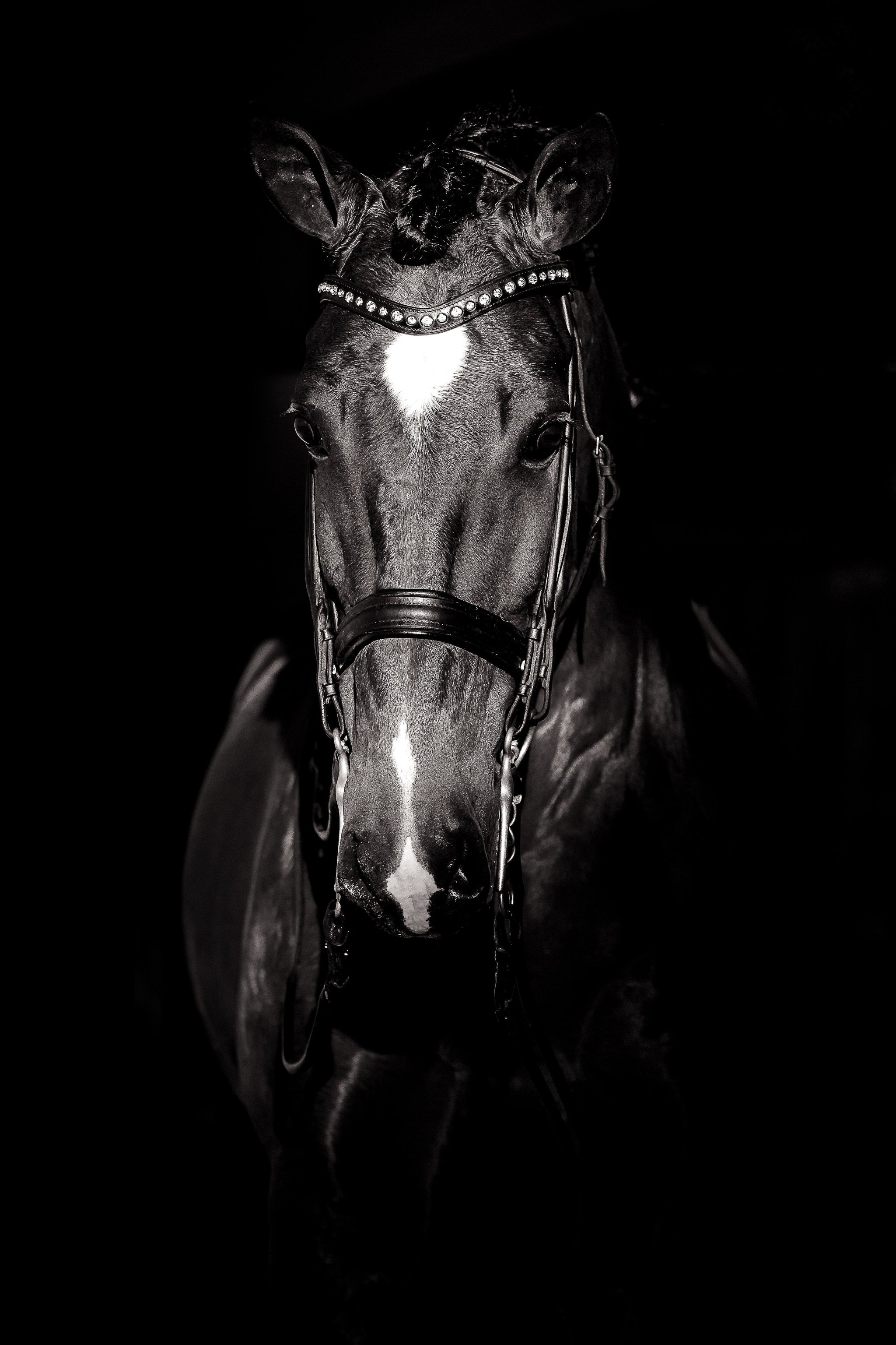 Entre force et lumière - Photographie par Taniere
