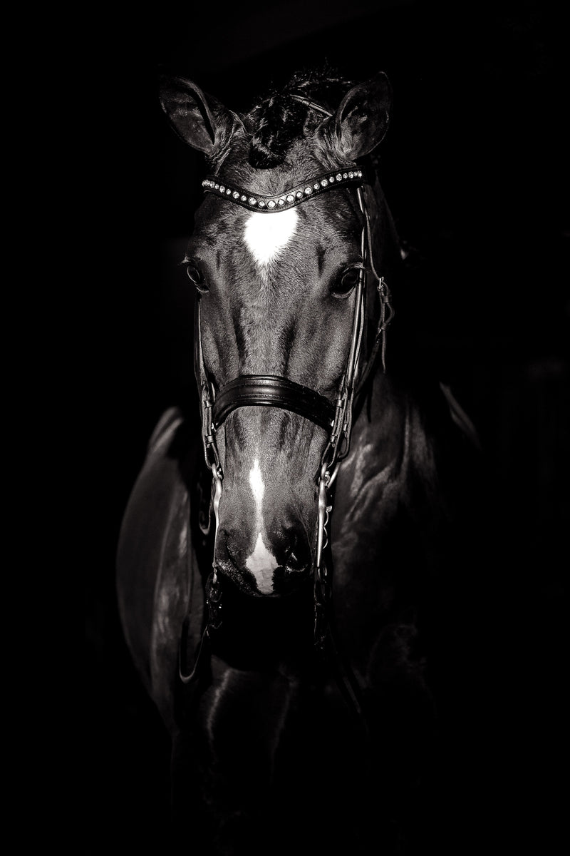 Entre force et lumière - Photographie par Taniere