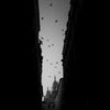 Envol - Photographie par Meunier