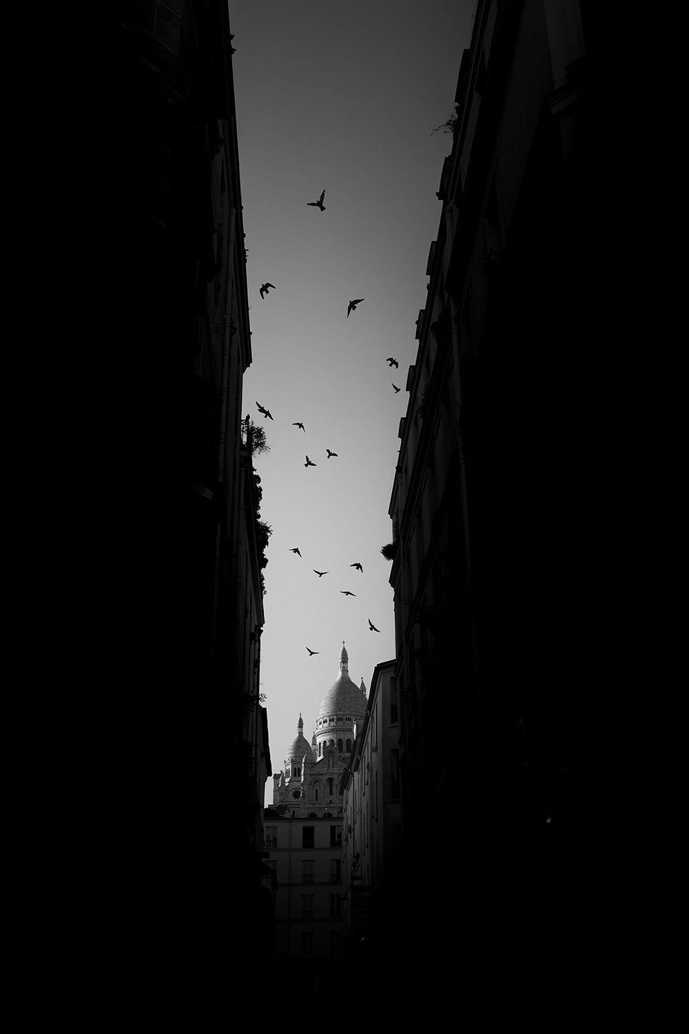 Envol - Photographie par Meunier