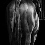 Epure animale - Photographie par Taniere