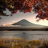 Facing Mount Fuji - Photographie par Salmon