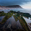 Inspirations Natures #10 - Photographie par Gaudencio