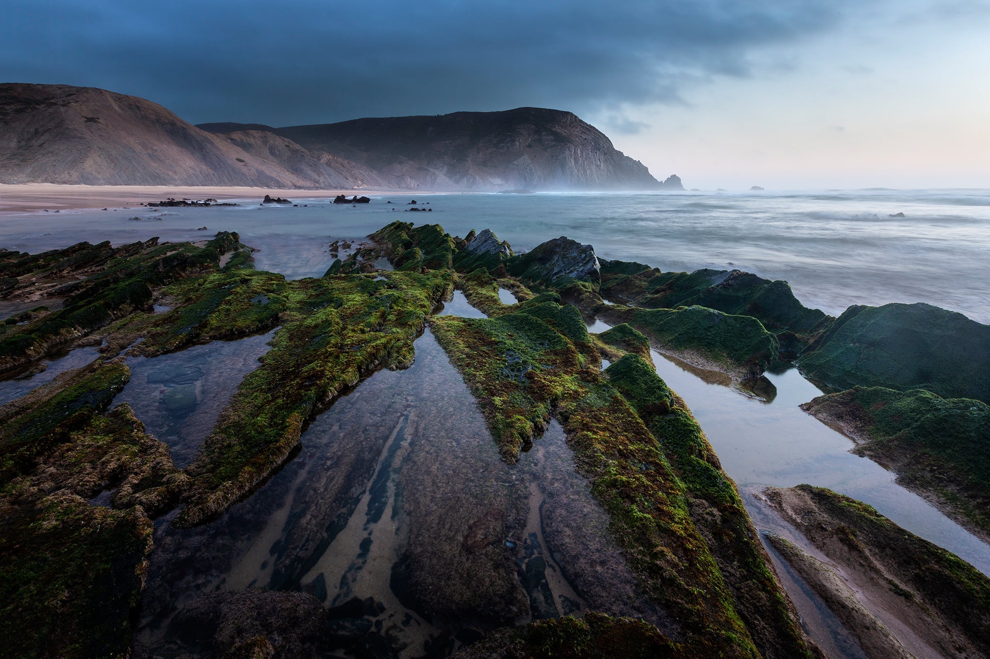 Inspirations Natures #10 - Photographie par Gaudencio
