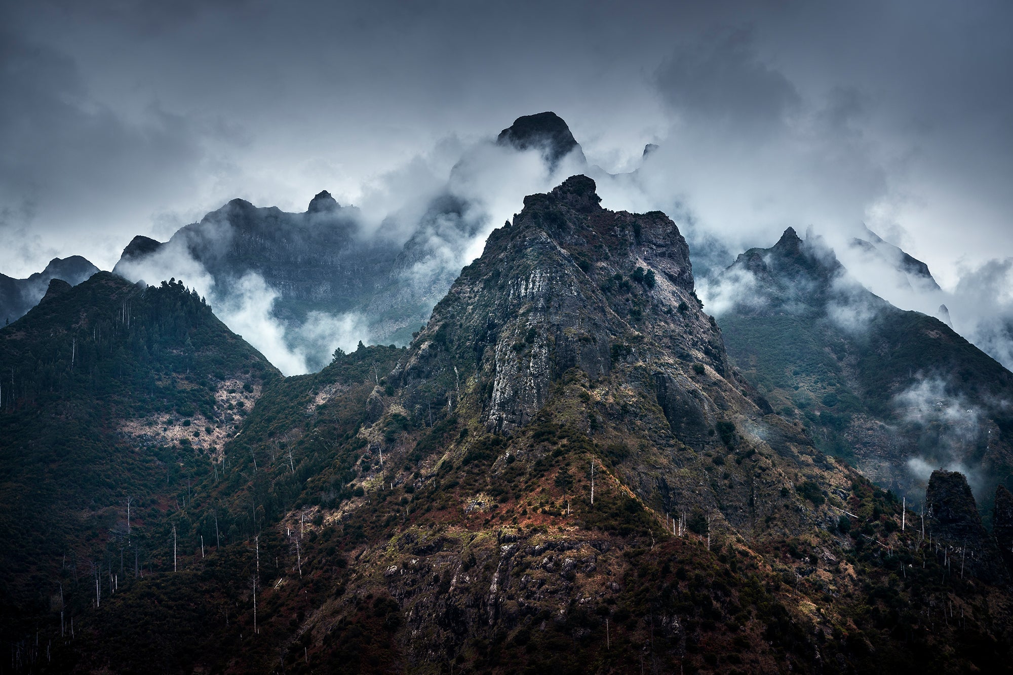 Inspirations Natures #11 - Photographie par Gaudencio