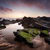Inspirations Natures #12 - Photographie par Gaudencio