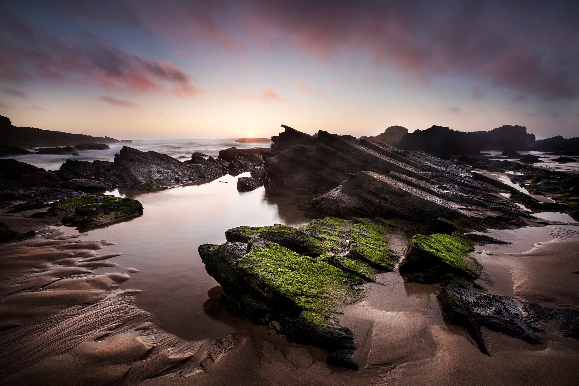 Inspirations Natures #12 - Photographie par Gaudencio