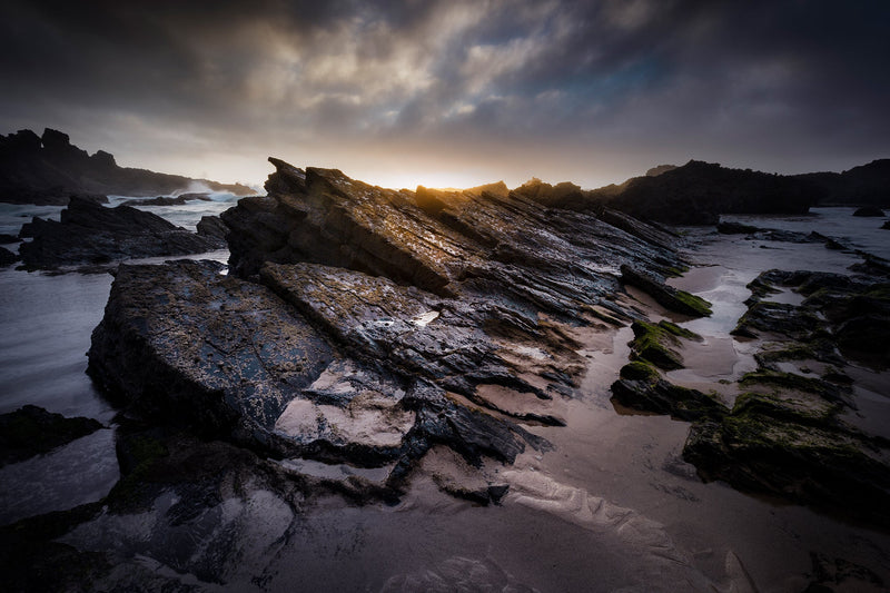 Inspirations Natures #2 - Photographie par Gaudencio