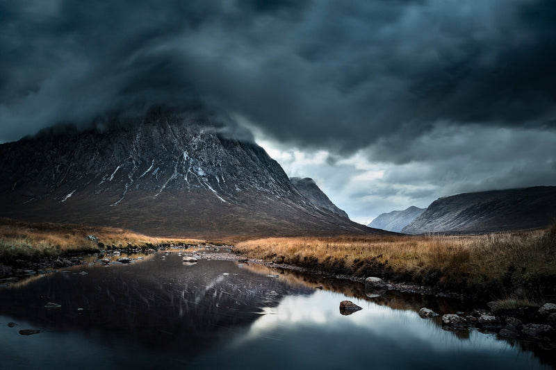 Inspirations Natures #4 - Photographie par Gaudencio