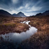 Inspirations Natures #7 - Photographie par Gaudencio