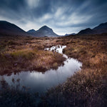 Inspirations Natures #7 - Photographie par Gaudencio
