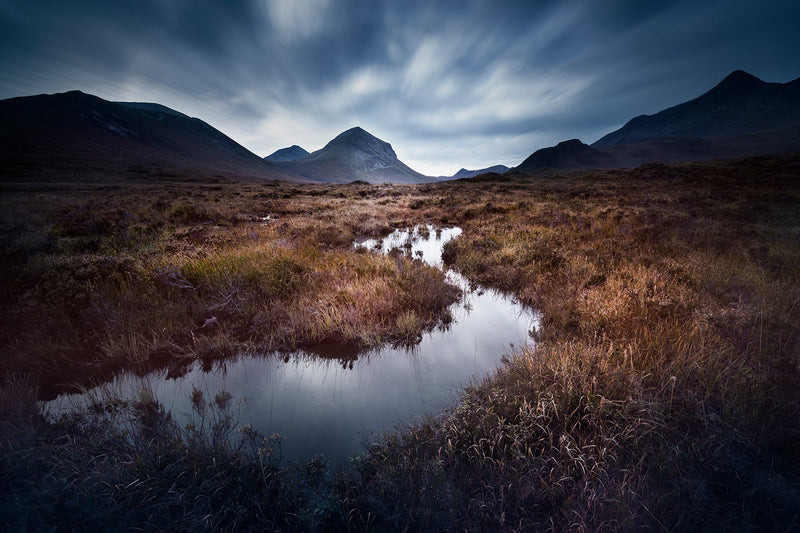 Inspirations Natures #7 - Photographie par Gaudencio