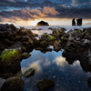 Inspirations Natures #8 - Photographie par Gaudencio