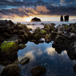 Inspirations Natures #8 - Photographie par Gaudencio