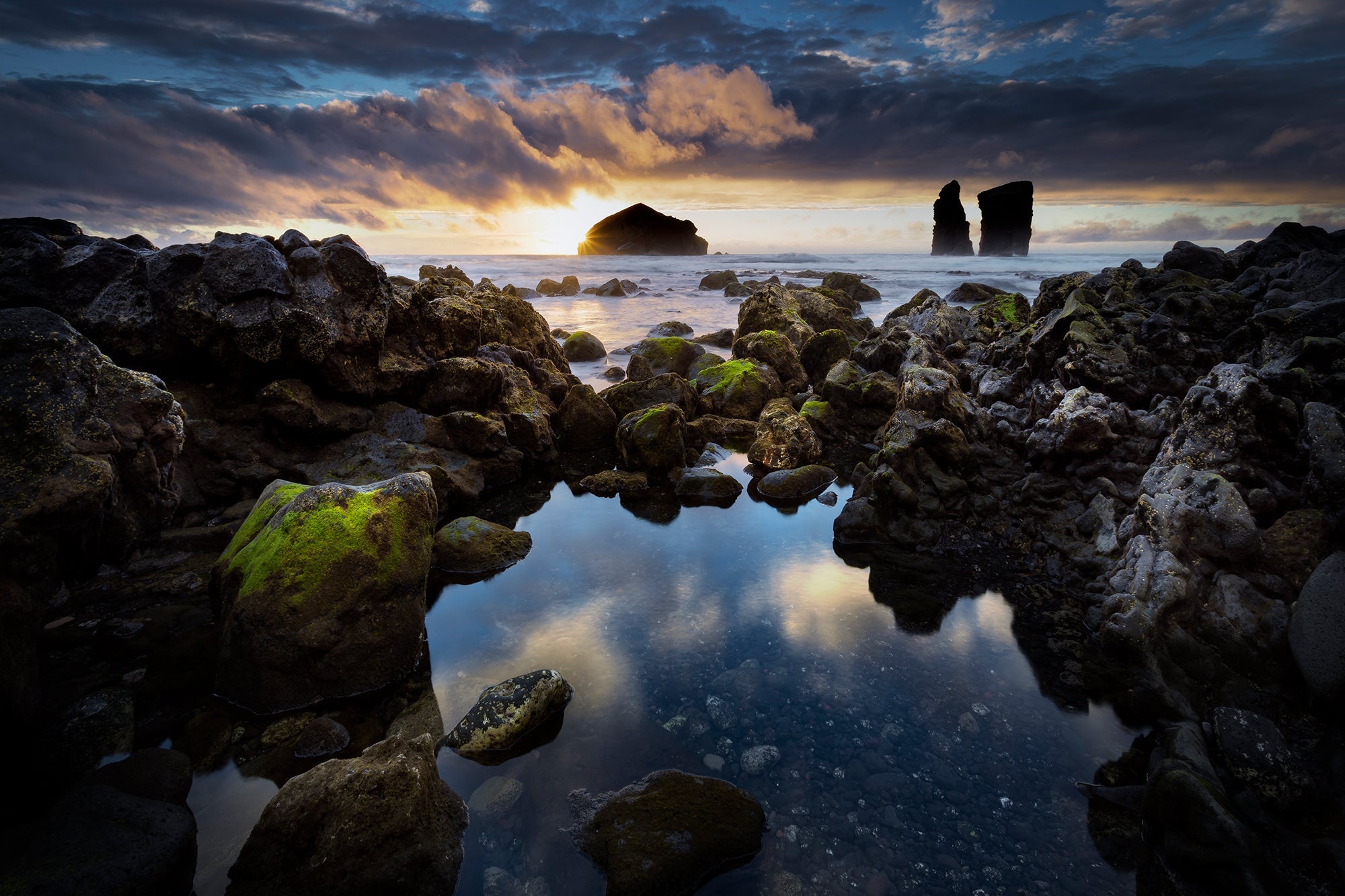 Inspirations Natures #8 - Photographie par Gaudencio