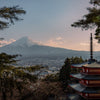 Japanese view - Photographie par Salmon