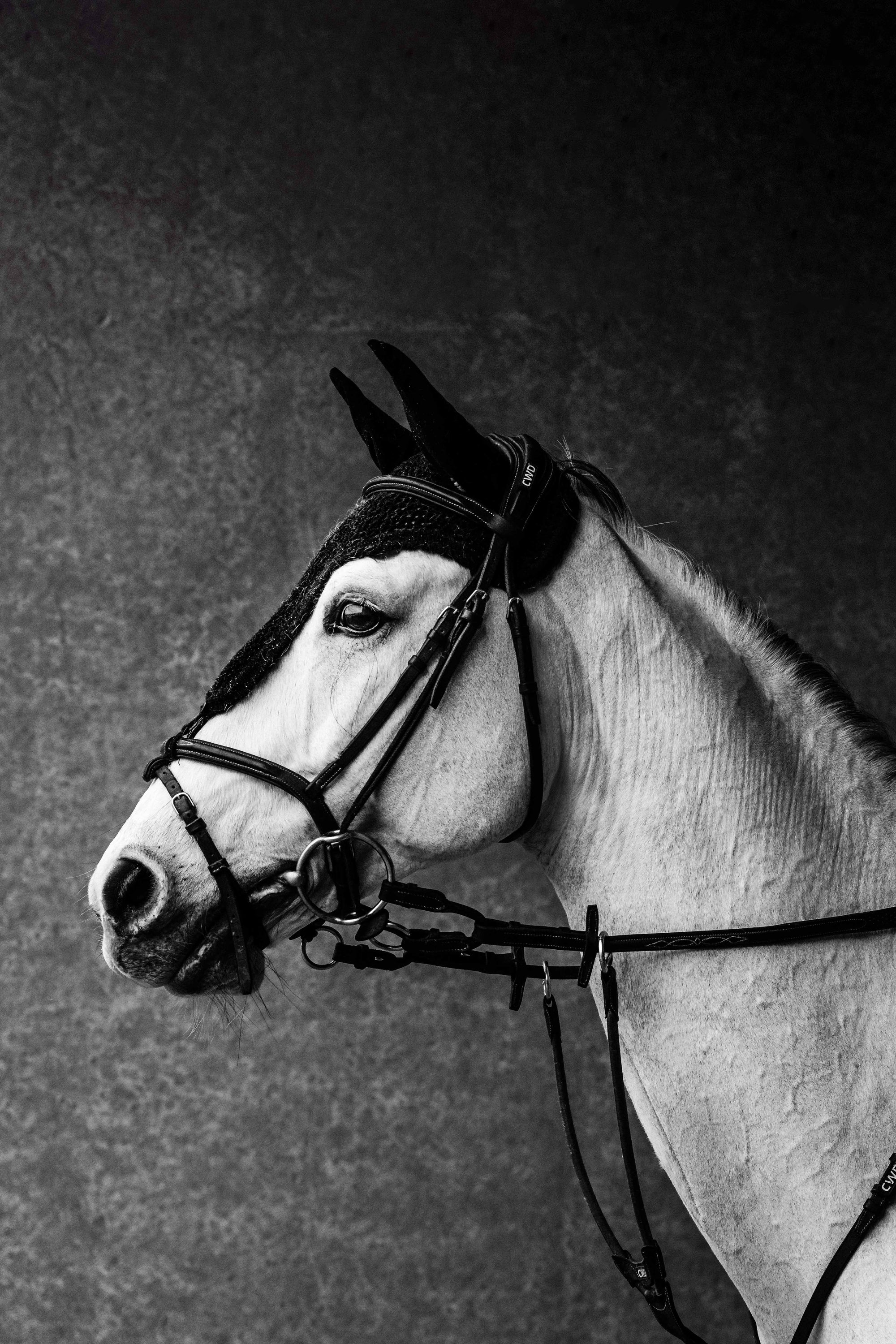 The elegance of calm