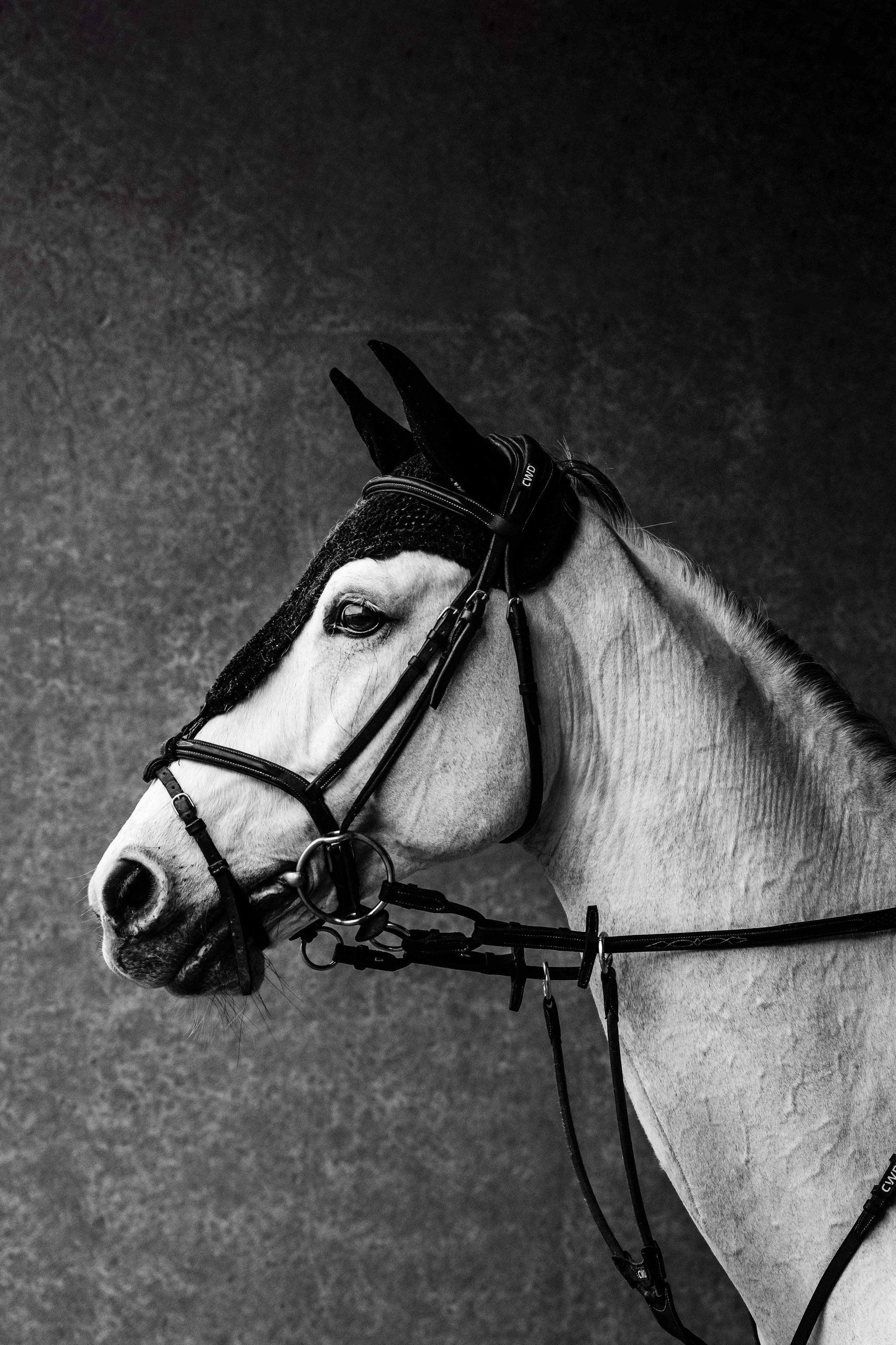 The elegance of calm