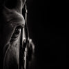 The unmoving sparkle