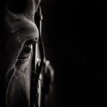 The unmoving sparkle