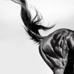La grâce du mouvement suspendu - Photographie par Taniere