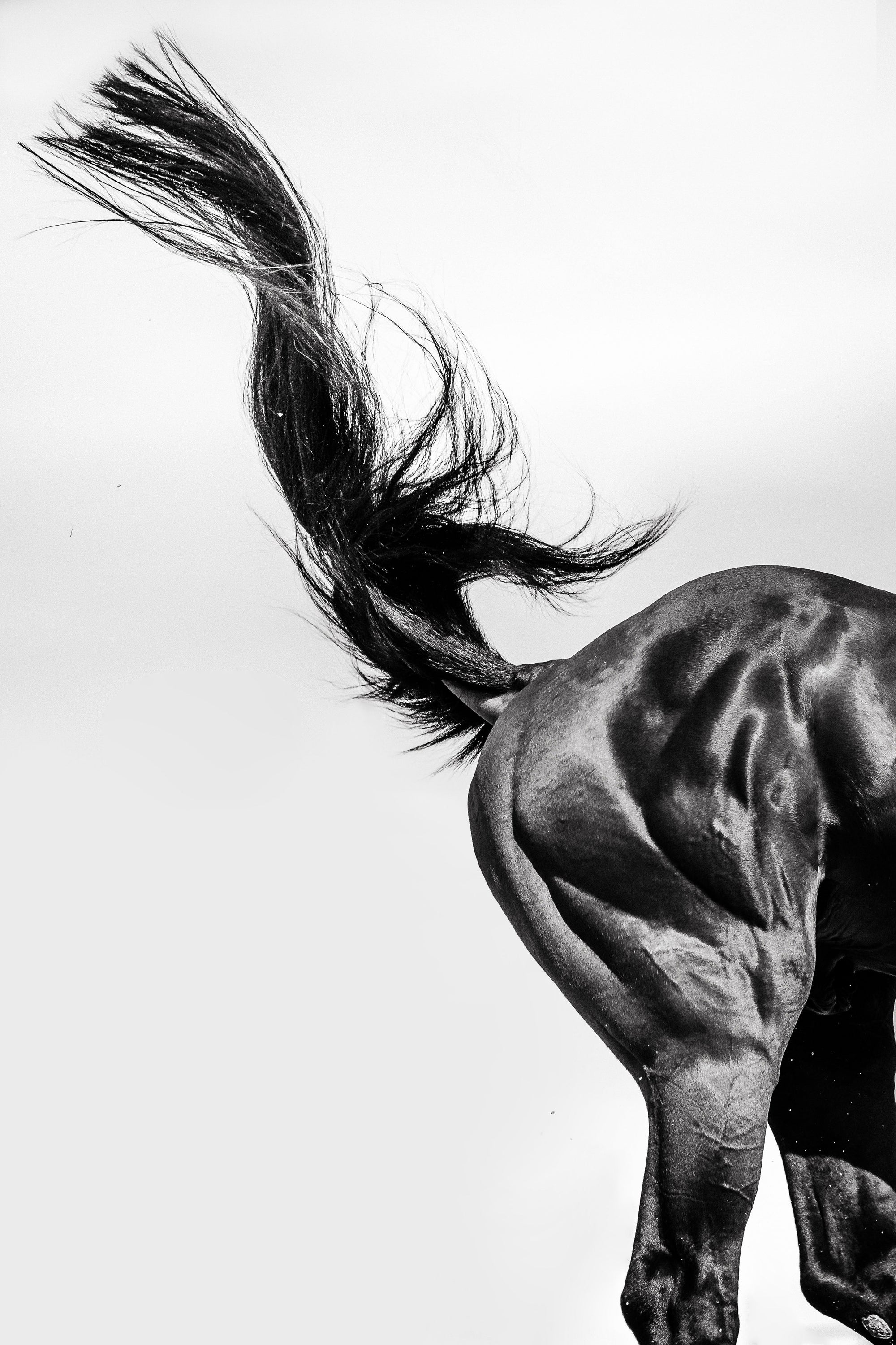 La grâce du mouvement suspendu - Photographie par Taniere