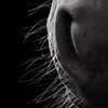 Le frisson du vivant - Photographie par Taniere