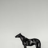 Le souffle et le vide - Photographie par Taniere