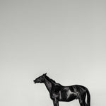 Le souffle et le vide - Photographie par Taniere