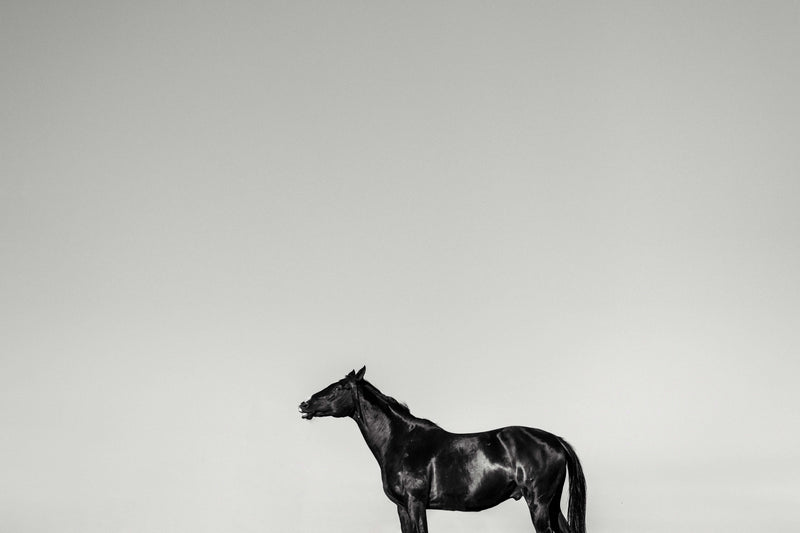 Le souffle et le vide - Photographie par Taniere