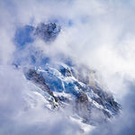 Le visage du froid - Photographie par Colonel