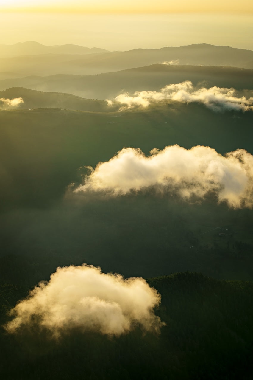 Losing Grip #3