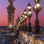 Alexandre III rosé - Photographie par Michot
