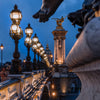 Composition alexandrine - Photographie par Michot