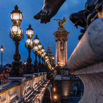 Composition alexandrine - Photographie par Michot