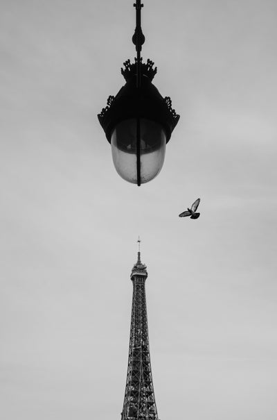 Flight over Eiffel
