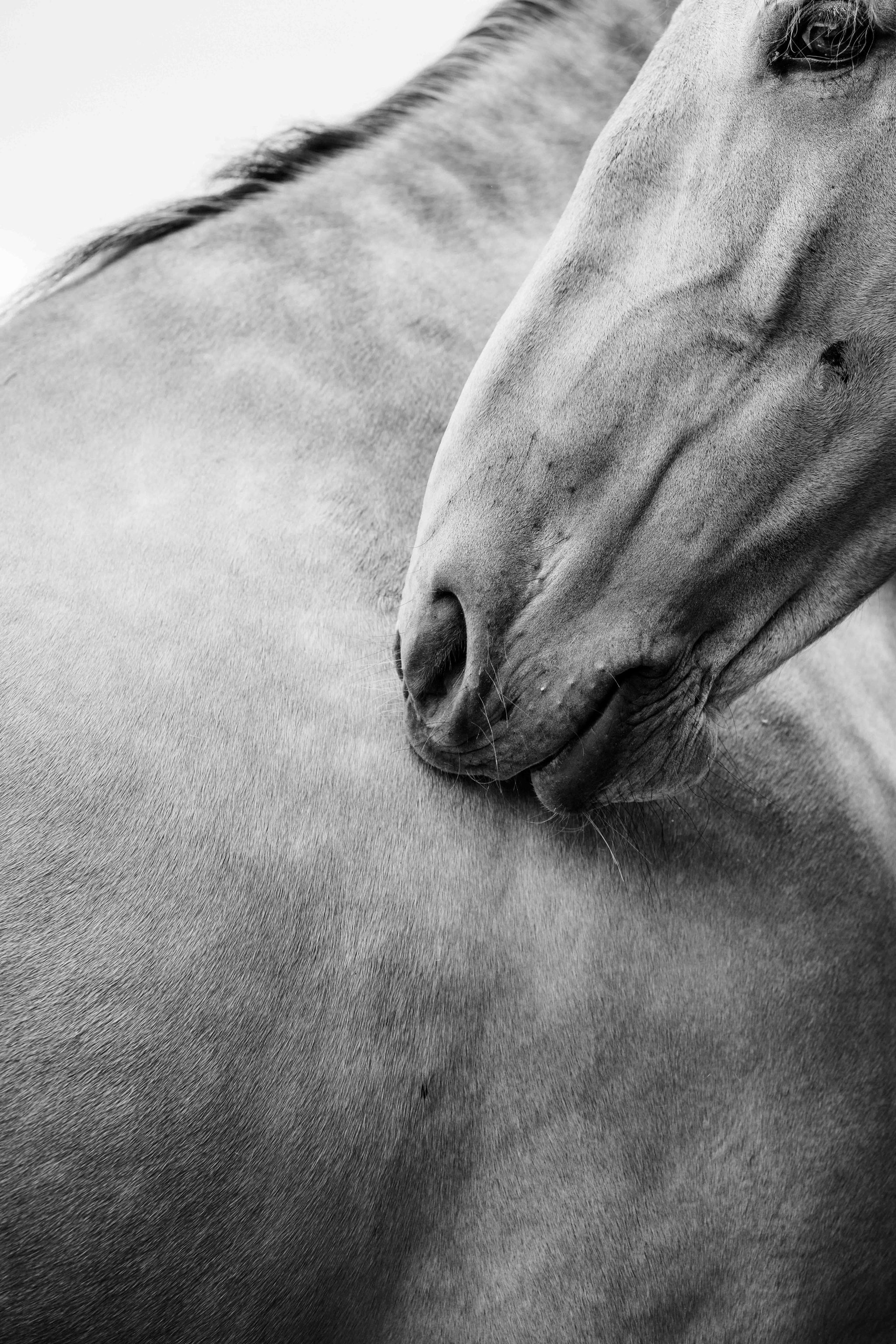 Peau contre peau - Photographie par Taniere