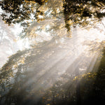 Quête de la lumière - 2 - Photographie par Kam