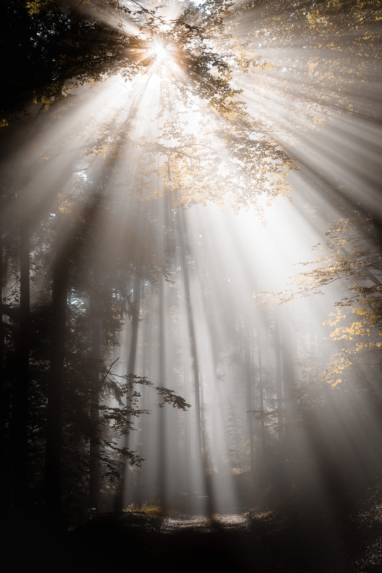 Quête de la lumière - 5 - Photographie par Kam