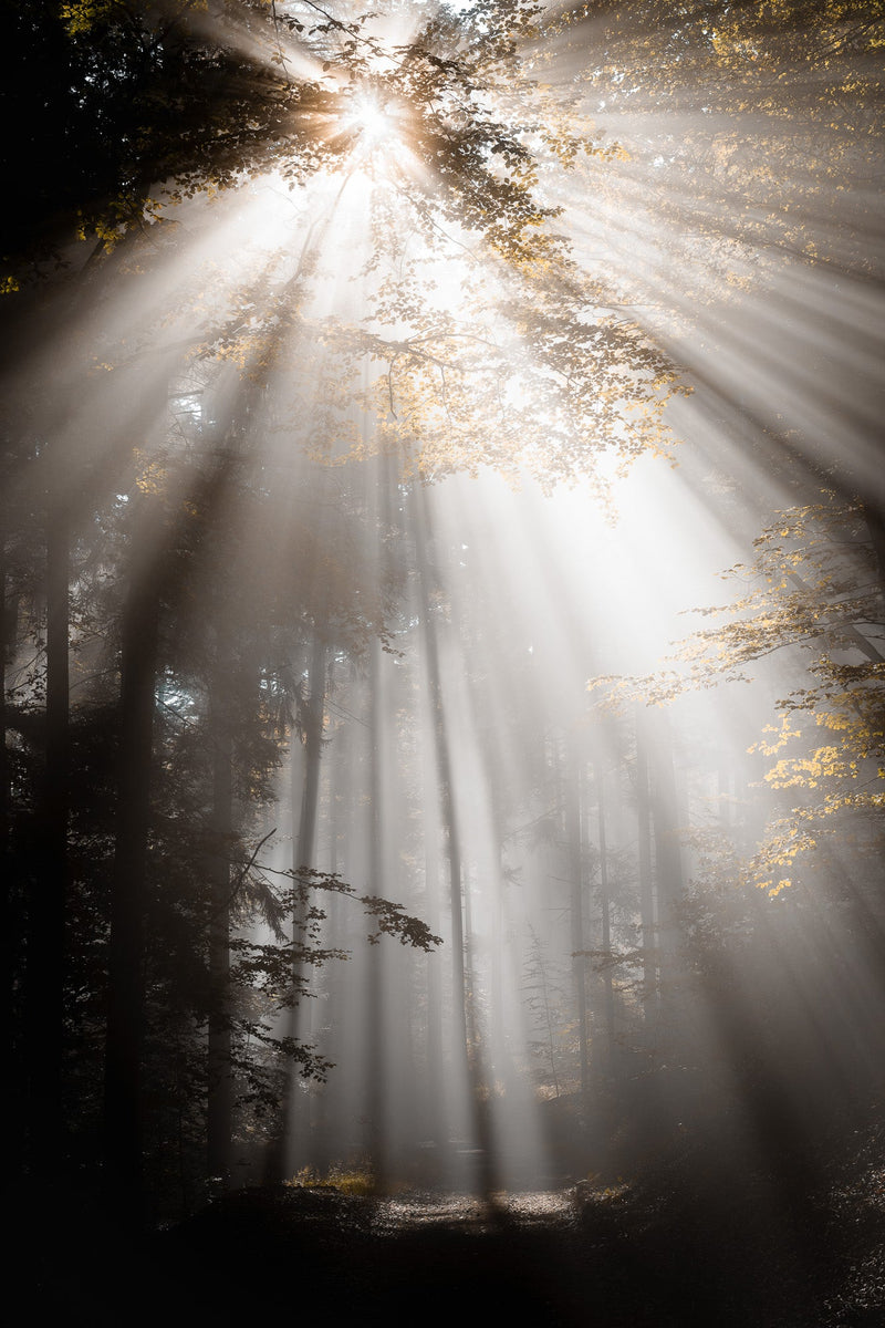 Quête de la lumière - 5 - Photographie par Kam