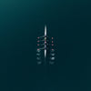 Rowing Harmony - Photographie par Salmon