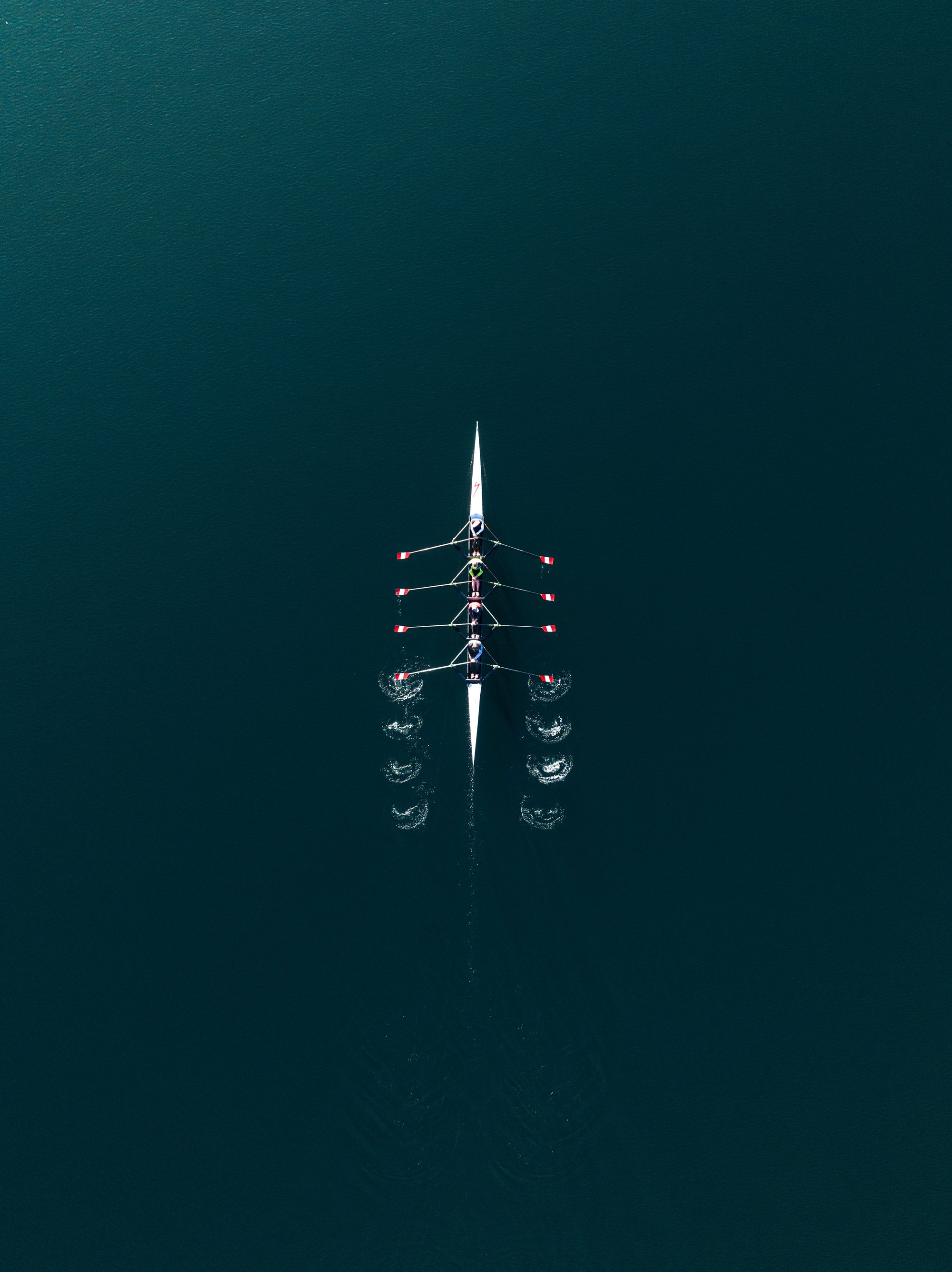 Rowing Harmony - Photographie par Salmon