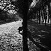 Autumn silence